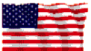 US-Flag-7