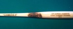 Engraved Baseball Bat 02